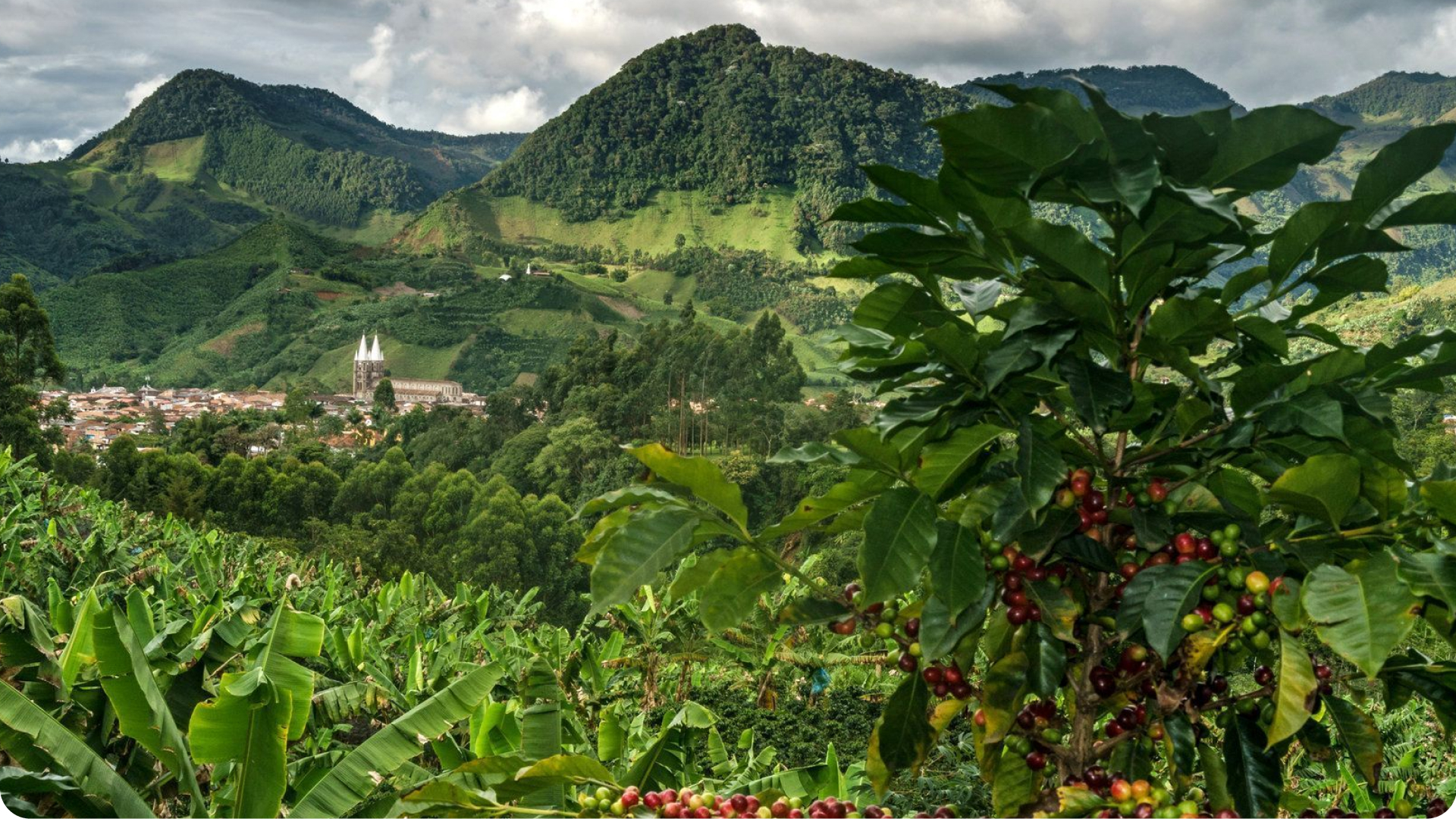 Каждый день мы совершенствуем себя, чтобы Вы пили особенный кофе и чувствовали себя счастливыми!