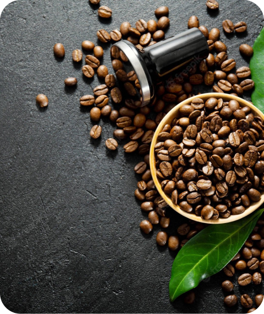 Экспресс-курс Бариста